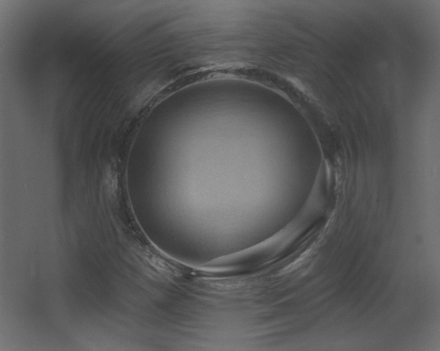 X0000068321257200604211156