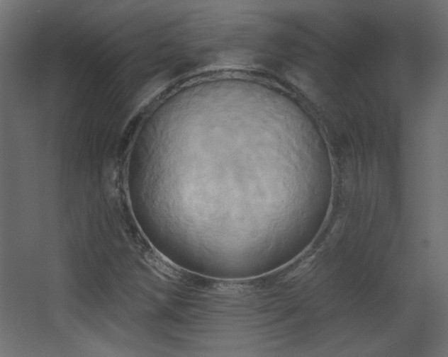 X0000068321258200604211156