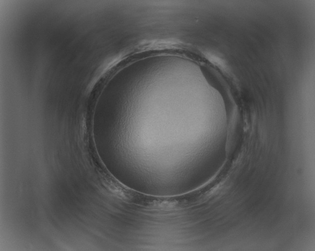 X0000068321261200604211156