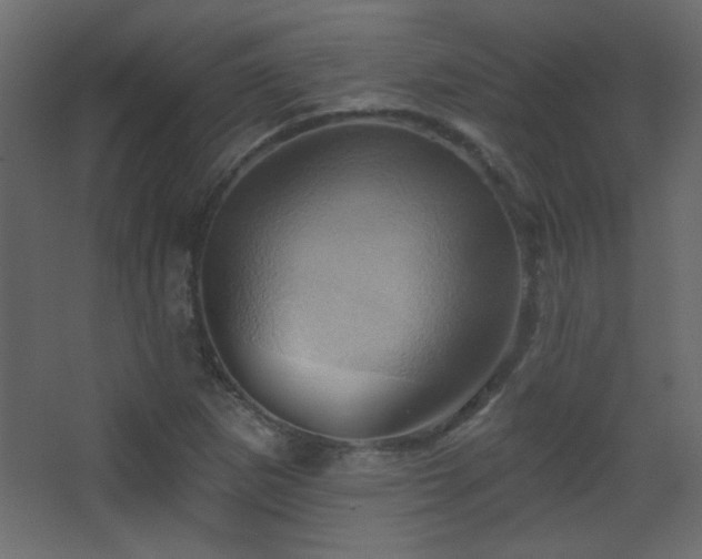 X0000068321265200604211156