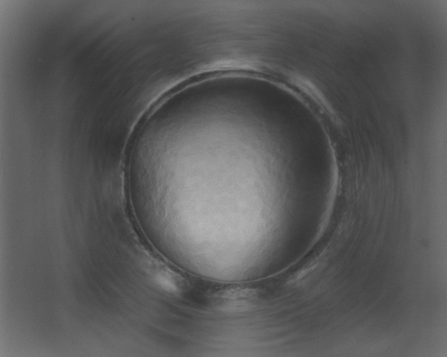 X0000068321268200604211156