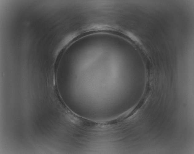 X0000068321269200604211156
