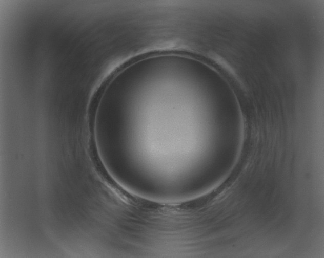 X0000068321270200604211156