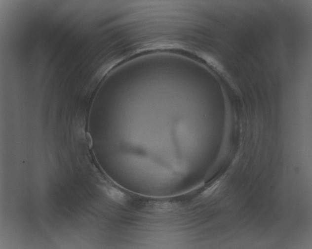 X0000068321273200604211156
