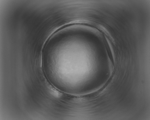 X0000068321276200604211156
