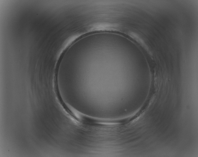 X0000068321277200604211156