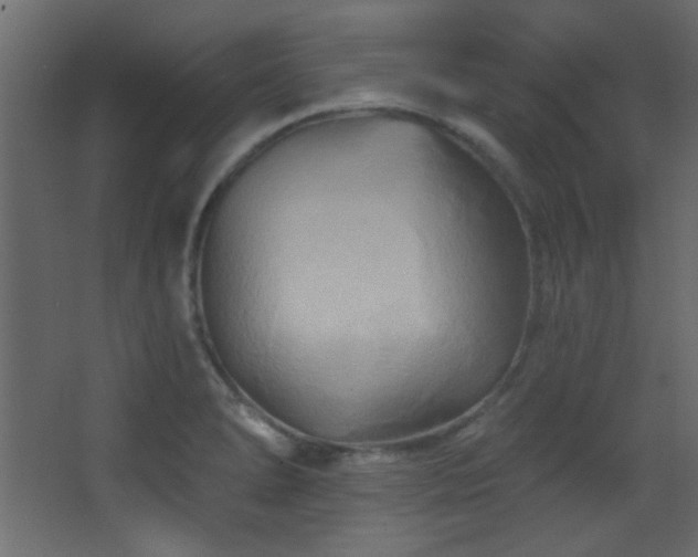 X0000068321278200604211156