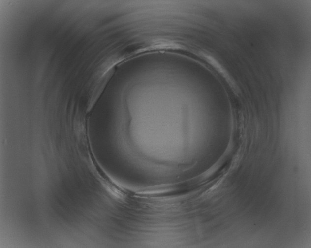 X0000068321281200604211156