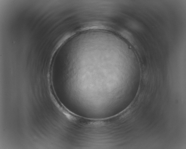 X0000068321282200604211156