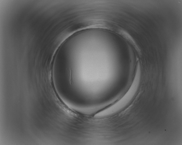 X0000068321284200604211156