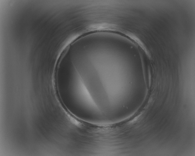 X0000068321285200604211156