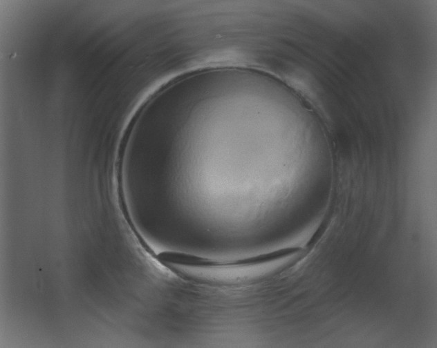 X0000068321288200604211155