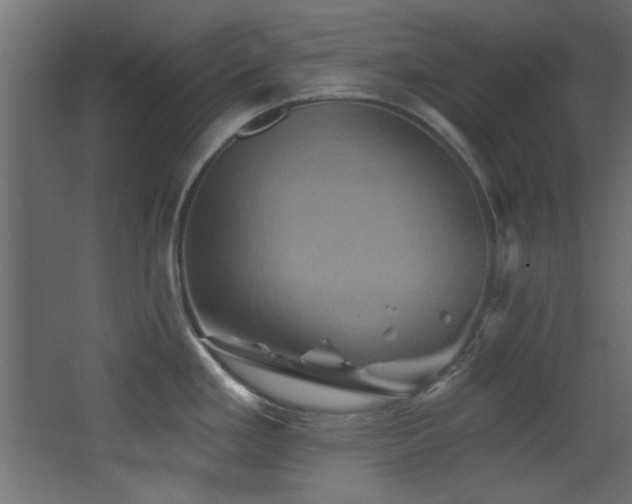 X0000068321293200604211155