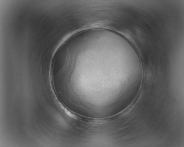 X0000068321294200604211155