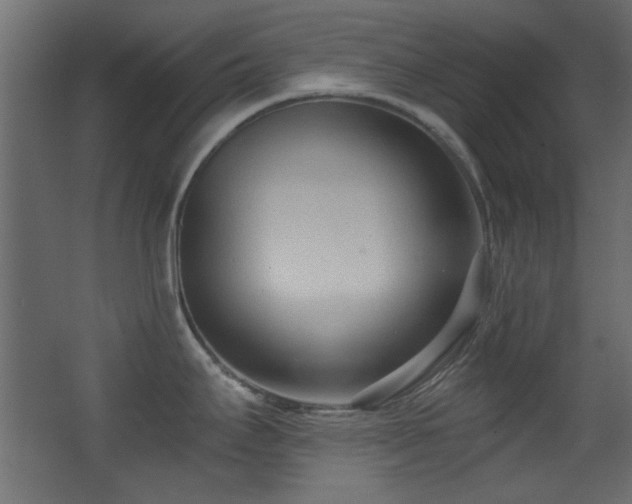 X0000068321295200604211155