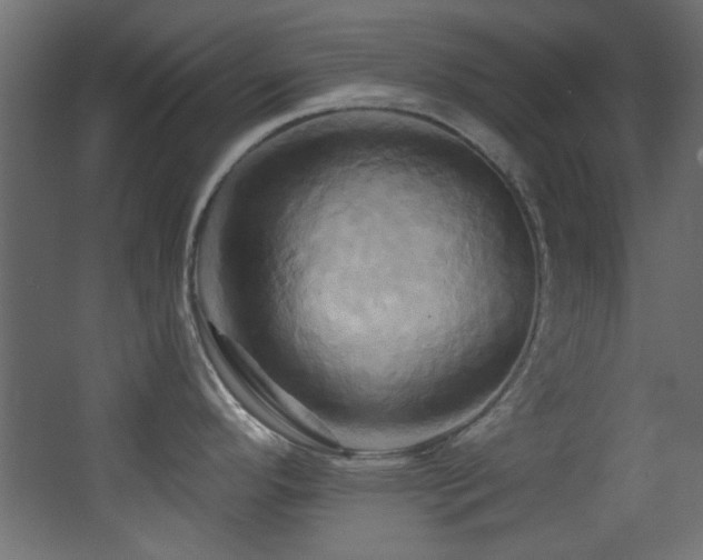 X0000068321296200604211155