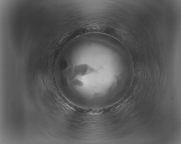 X0000068321297200604211155