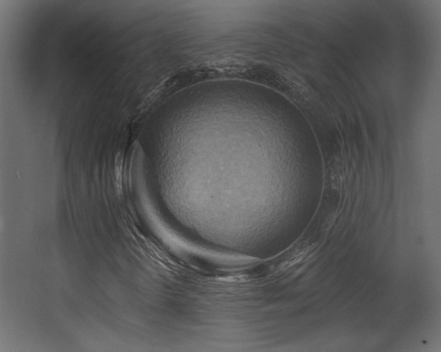 X0000068321298200604211155