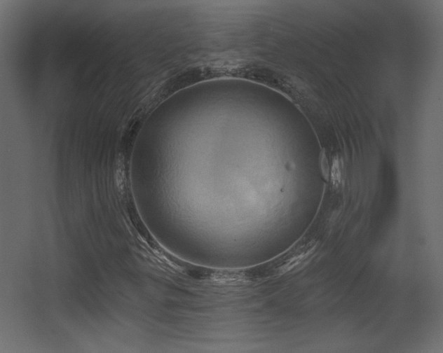 X0000068321299200604211155