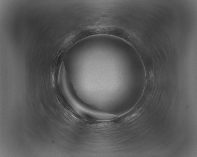 X0000068321300200604211155
