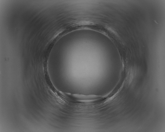 X0000068321305200604211155
