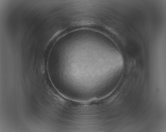 X0000068321306200604211155