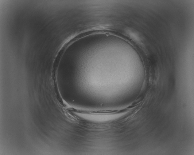 X0000068321308200604211155