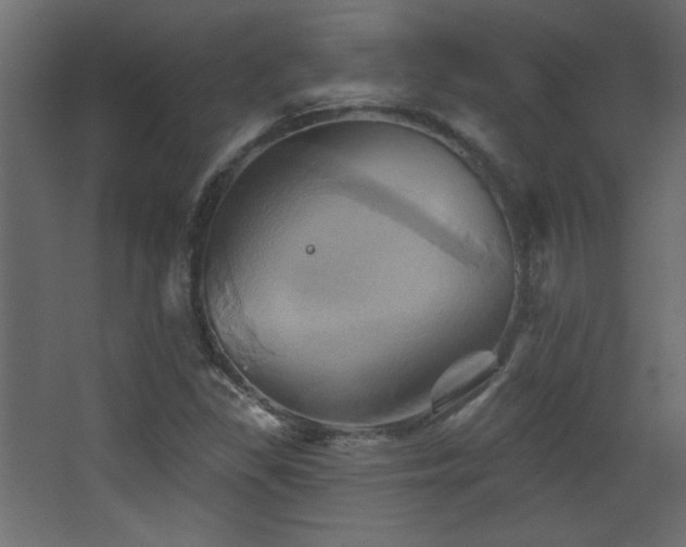 X0000068321309200604211155