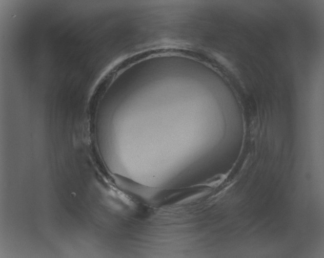 X0000068321310200604211155