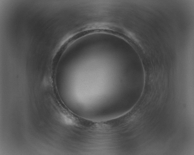 X0000068321312200604211155