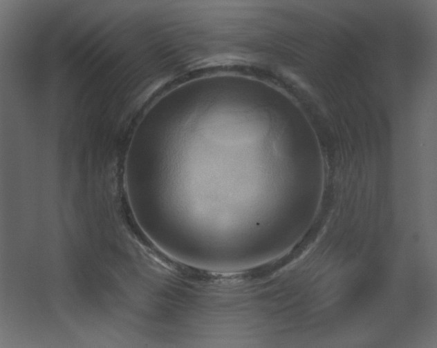 X0000068321313200604211155