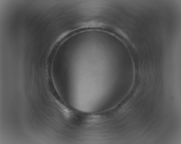 X0000068321315200604211155