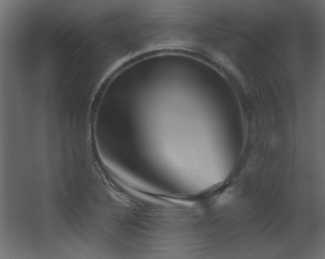 X0000068321316200604211155