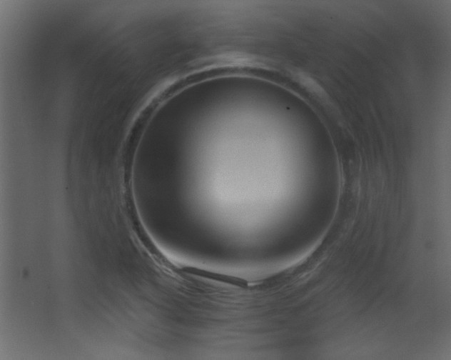 X0000068321318200604211155