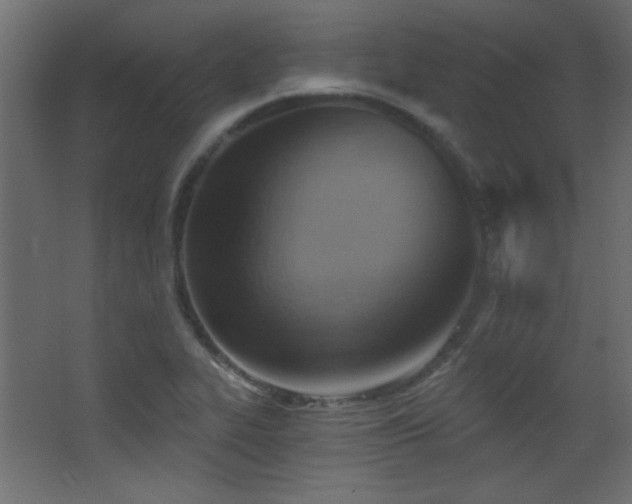 X0000068321319200604211155