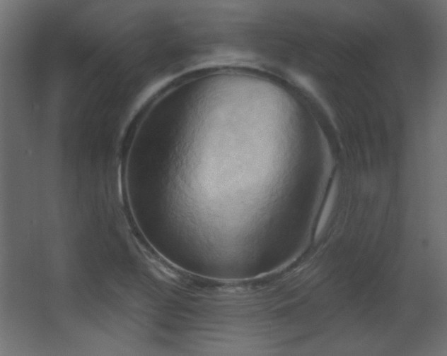 X0000068321320200604211155