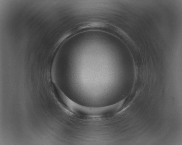 X0000068321321200604211155