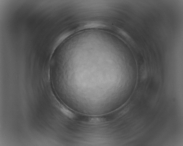 X0000068321322200604211155