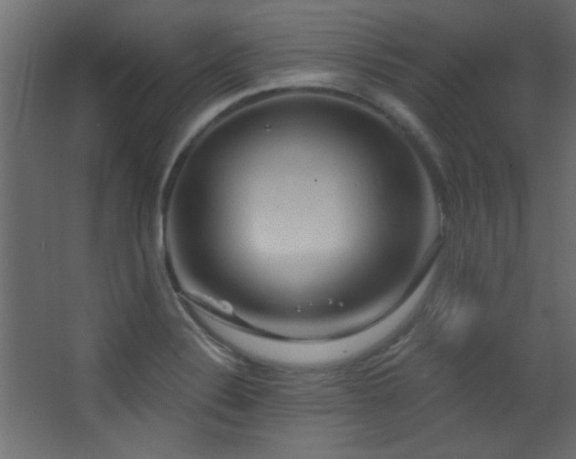 X0000068321324200604211155