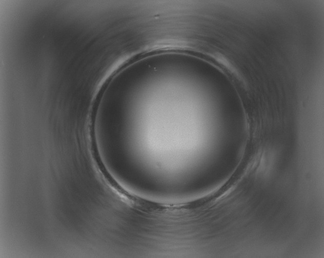 X0000068321325200604211155