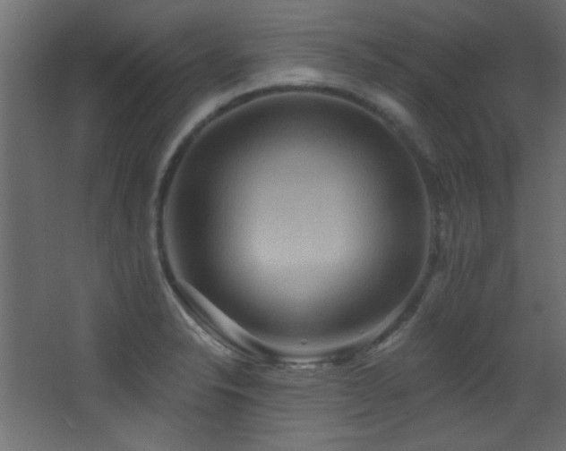 X0000068321326200604211155