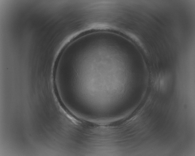 X0000068321327200604211155