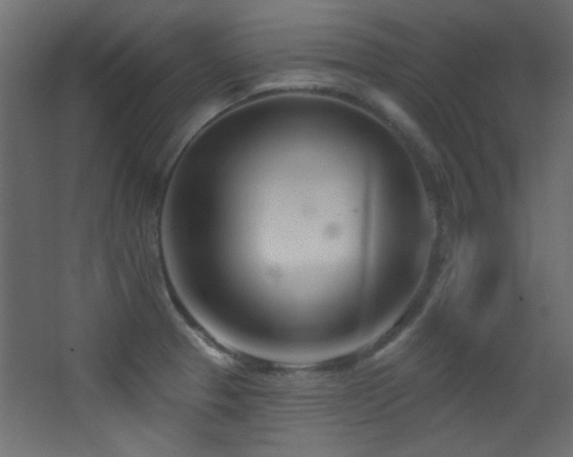 X0000068321329200604211155