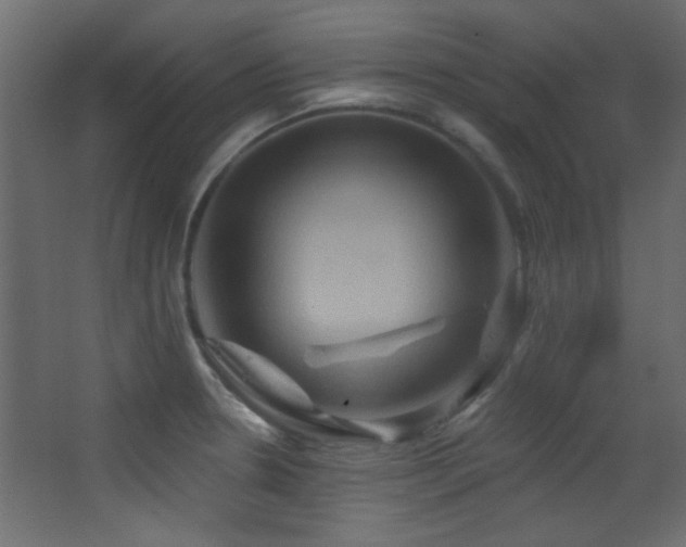 X0000068321330200604211155