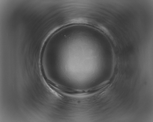 X0000068321331200604211155