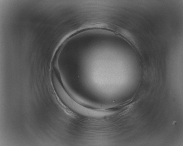 X0000068321332200604211155