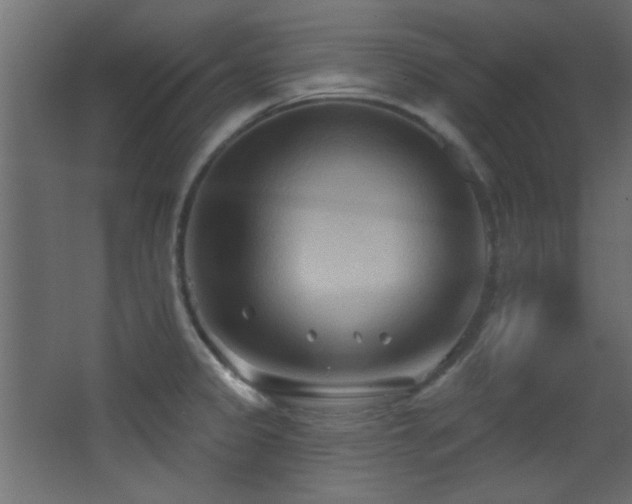X0000068321333200604211155