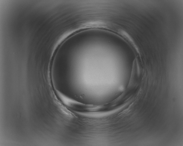 X0000068321336200604211155