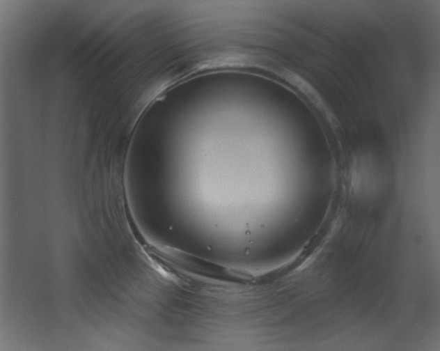 X0000068321337200604211155