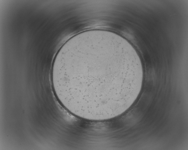 X0000068321338200604211155